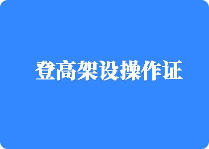 国产涩涩涩成人黑森林登高架设操作证